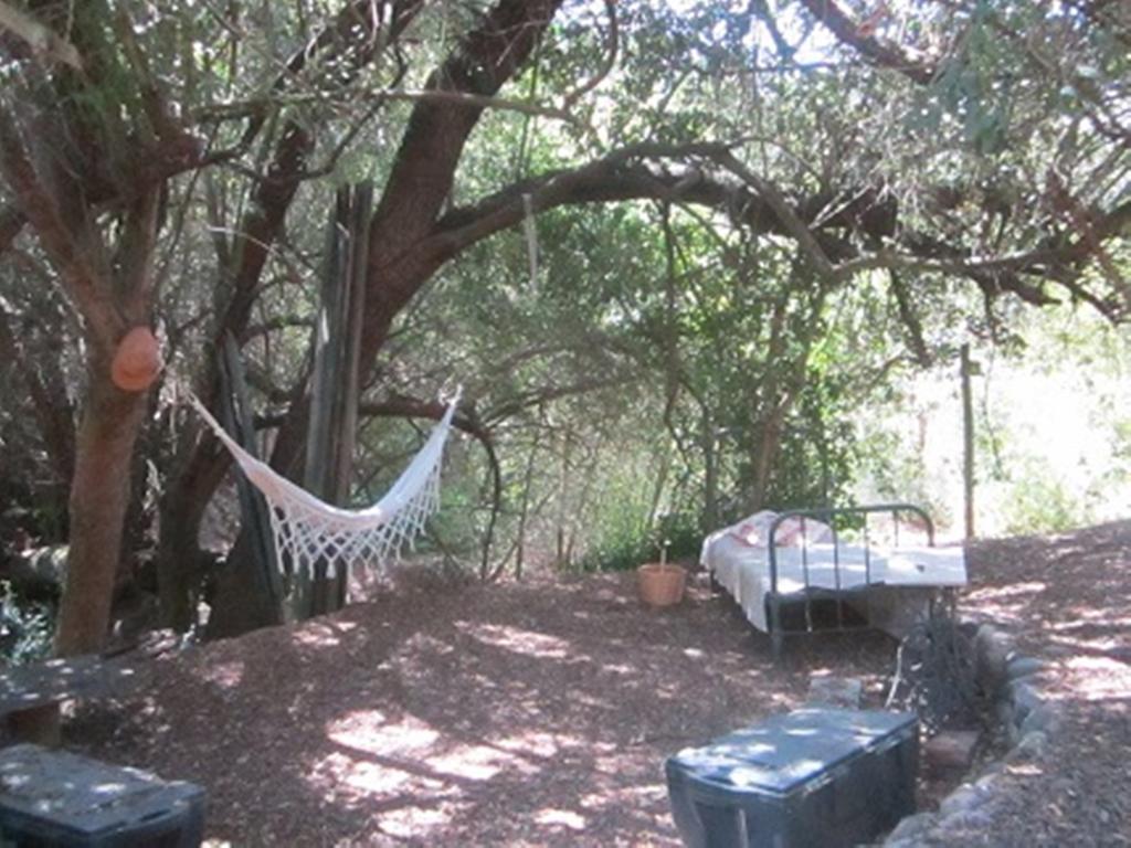Cabana De Adobe En Lago Rapel Δωμάτιο φωτογραφία