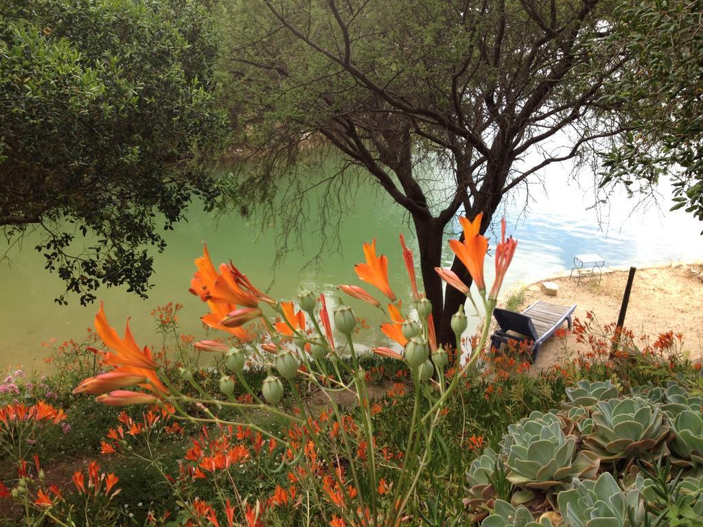 Cabana De Adobe En Lago Rapel Εξωτερικό φωτογραφία