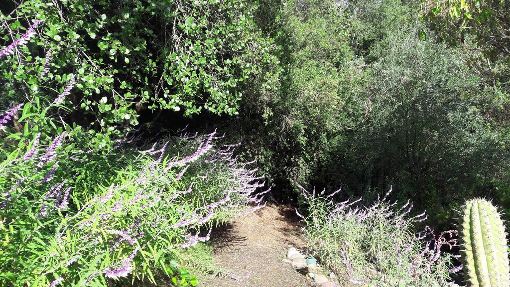 Cabana De Adobe En Lago Rapel Εξωτερικό φωτογραφία