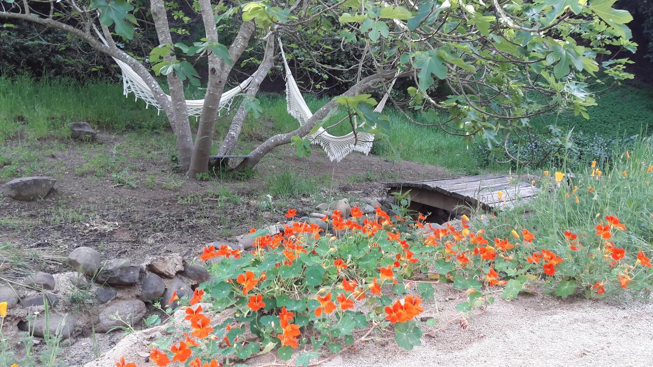 Cabana De Adobe En Lago Rapel Εξωτερικό φωτογραφία